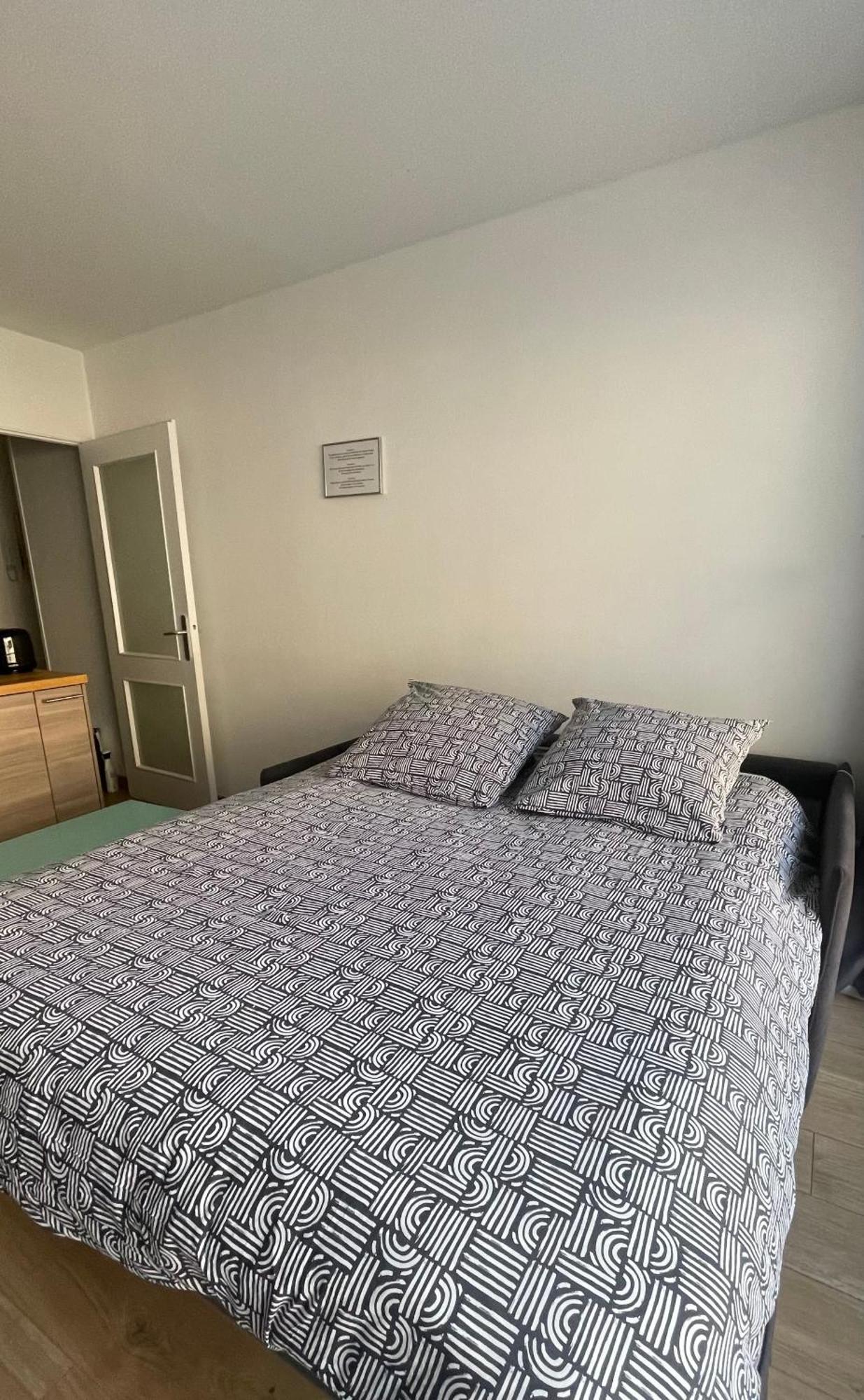Appartement Plein Centre Avec Garage, Piscine Et Gardien Grenoble